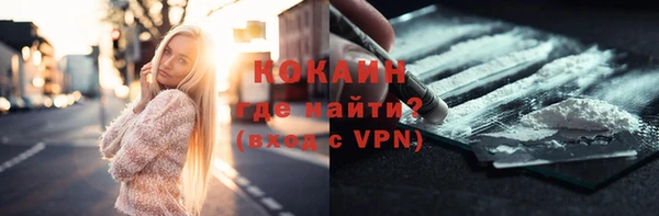 дживик Гусев