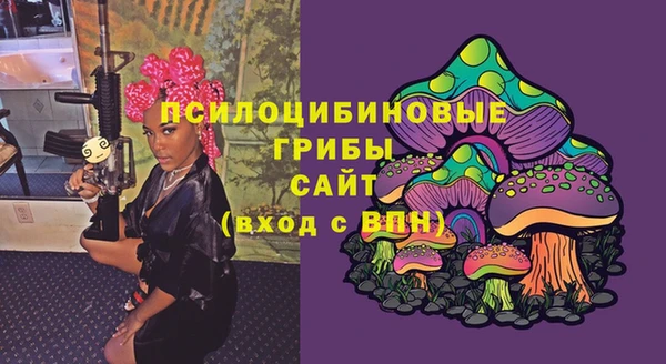 дурь Гусь-Хрустальный