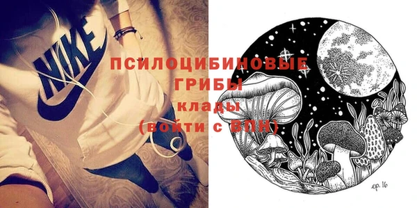 дживик Гусев