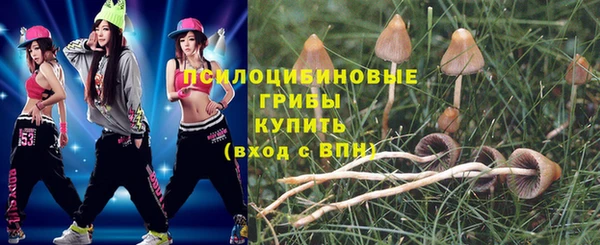 дурь Гусь-Хрустальный