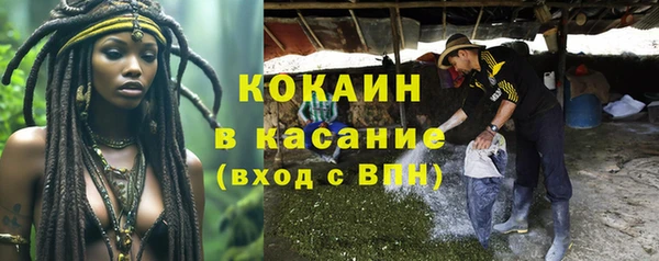дживик Гусев