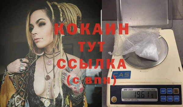 дживик Гусев