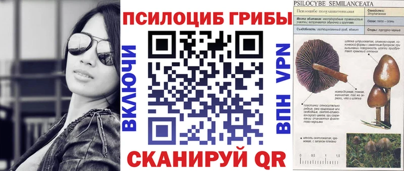 Псилоцибиновые грибы Cubensis  mega ONION  Высоцк 